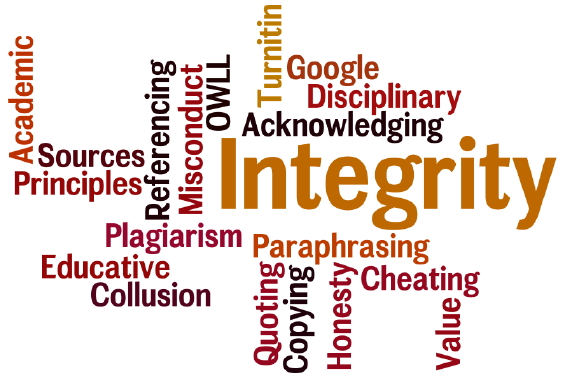 The State University Academic Integrity Code